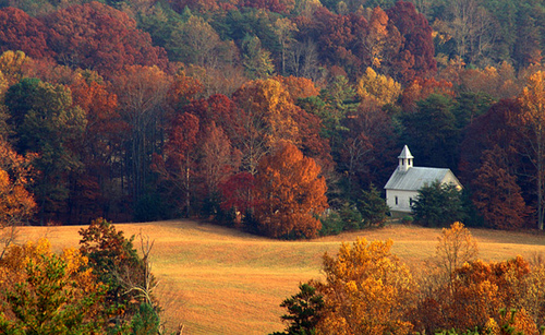 298464194_833ce8f18d